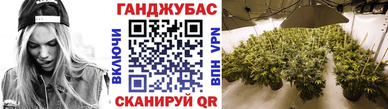 Шишки марихуана сатива  Туймазы 